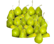 pears