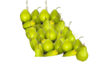 pears